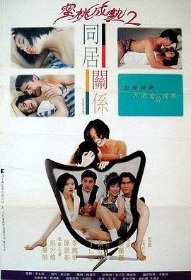 《《同居关系》完整版在线观看_艺术片电影》1993 海报