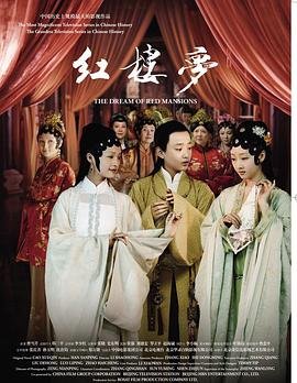 新版红楼梦鸳鸯电视剧免费观看 (2010) 海报