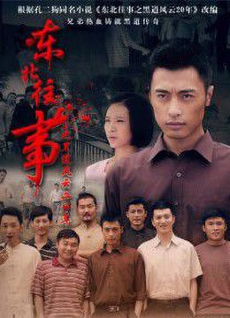 东北往事之黑道风云20年在线播放 全集完整版 (2013) 海报