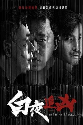 白夜追凶电视剧免费观看全集 (2017) 海报
