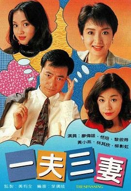 《一夫三妻国语》电视剧免费在线观看完整版 (1994) 海报