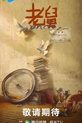 《老舅电视剧免费观看全集完整版高清中字 🤔》2025 海报