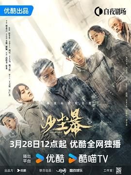 《沙尘暴》电视剧全集免费观看_国产剧_高清版 🫡 (2025) 海报