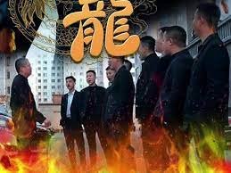 《《追龙2》电影免费在线观看完整版HD中字高清全集》2023 海报