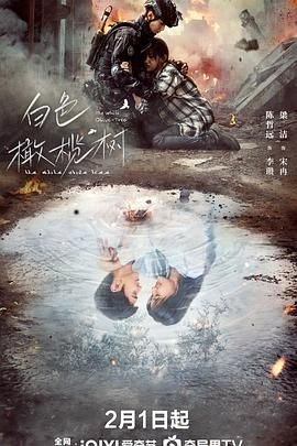 《《白色橄榄树》电视剧完整版免费观看1080P 💎》2025 海报