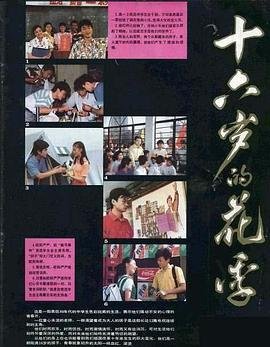 《《十六岁的花季》高清在线观看-电视剧-全集完整版》1990 海报