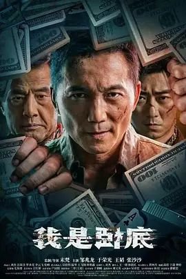 《我是卧底在线观看完整版免费播放高清电影》2026 海报
