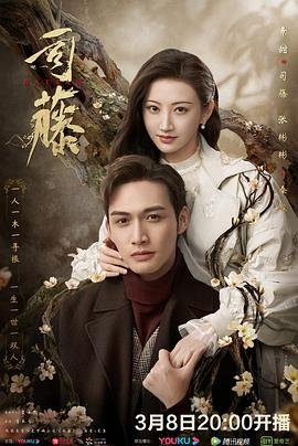 司藤电视剧在线观看免费 (2021) 海报