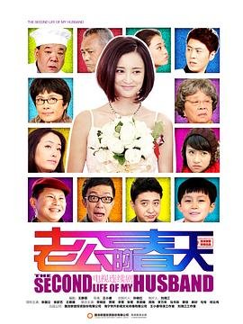 《老公的春天》全集完整版在线观看-电视剧 (2013) 海报